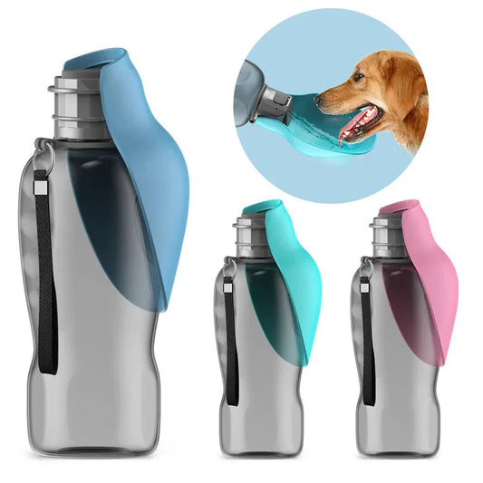 Water Bottle for Dogs and Cats